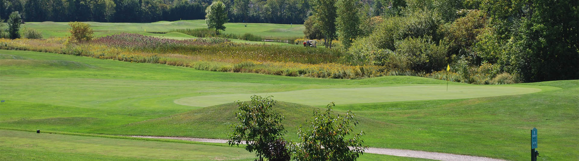 view of golf course green